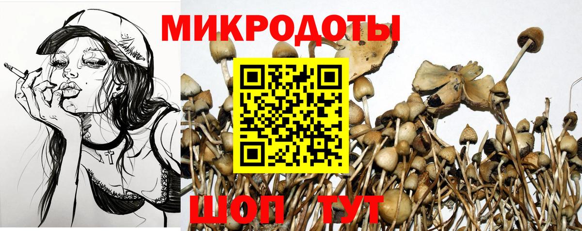 Галлюциногенные грибы мицелий Омск